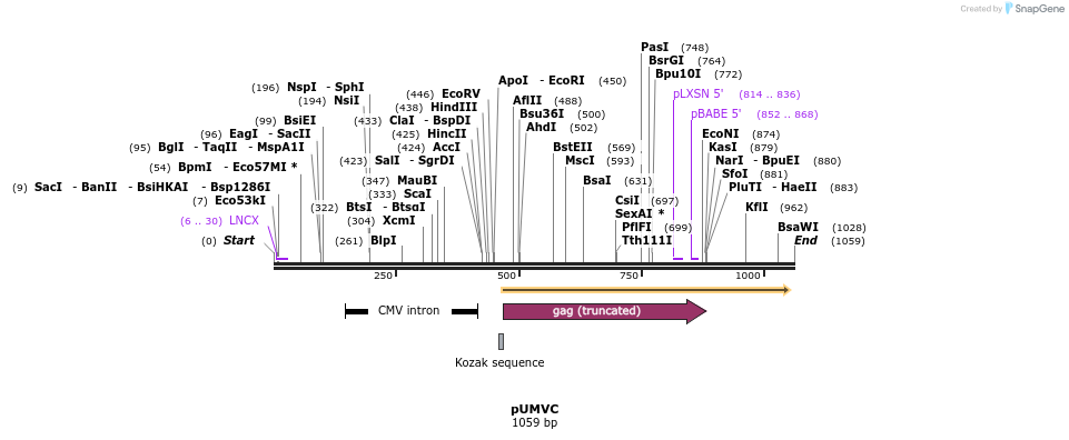 125040_map