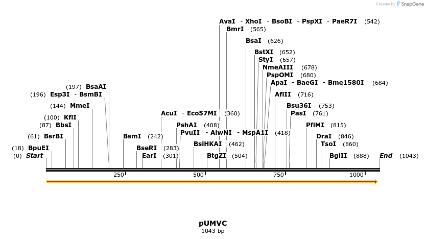 125041_map