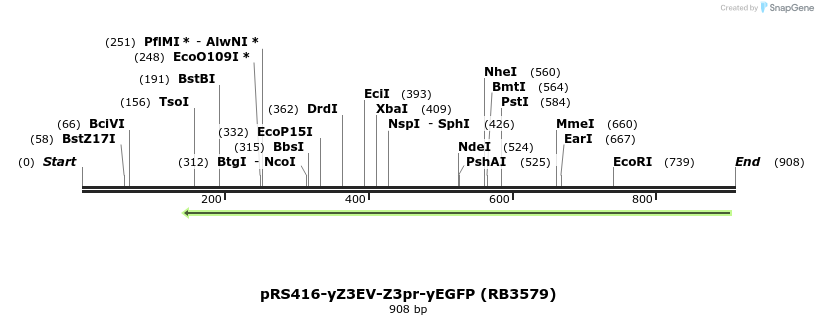125043_map