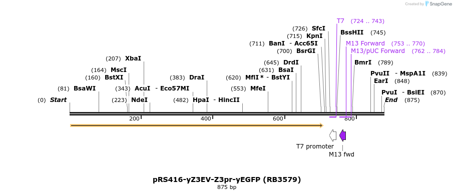 125044_map