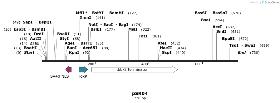 125047_map