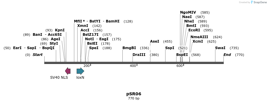 125048_map