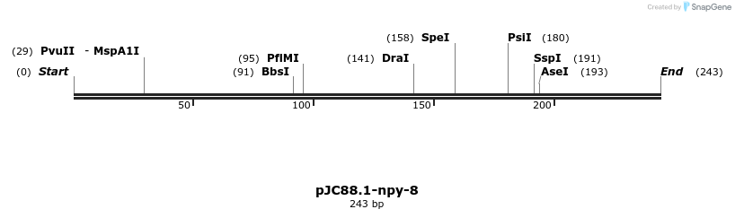 12505_map