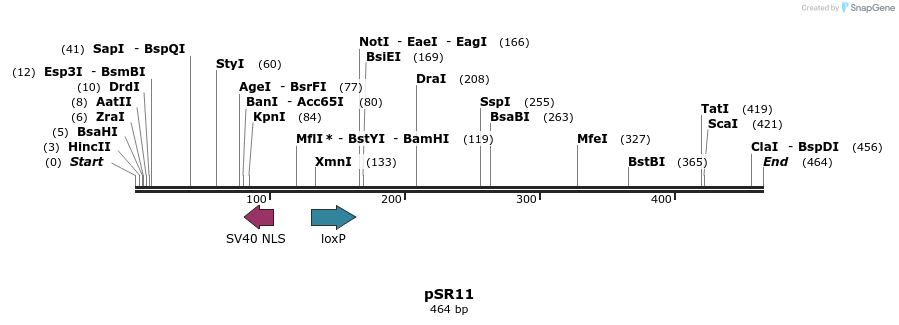 125057_map