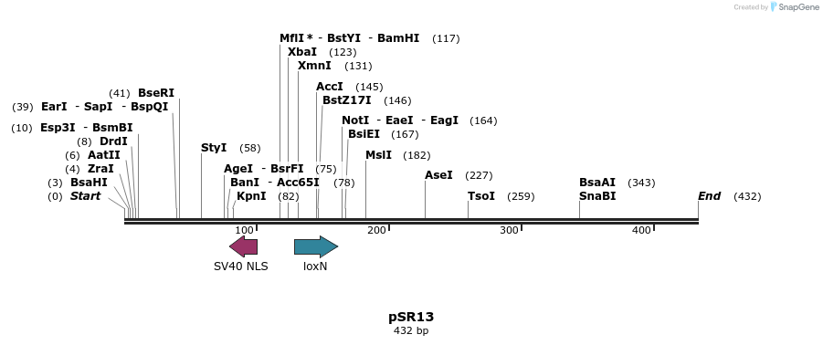 125059_map