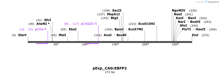 125062_map