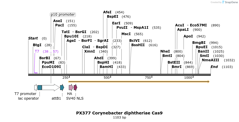 125063_map