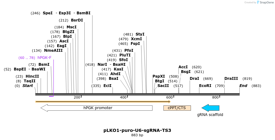 125065_map