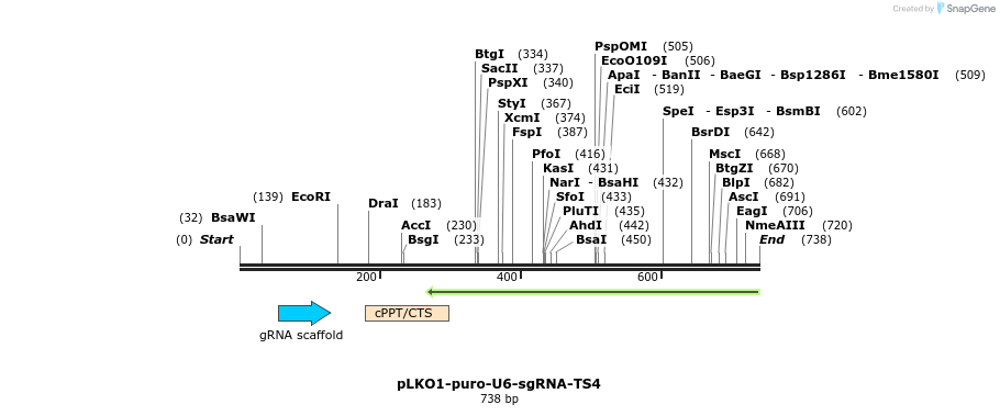 125070_map