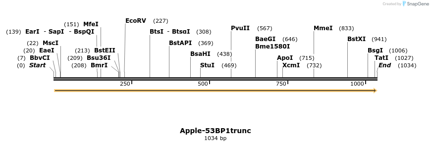 125076_map