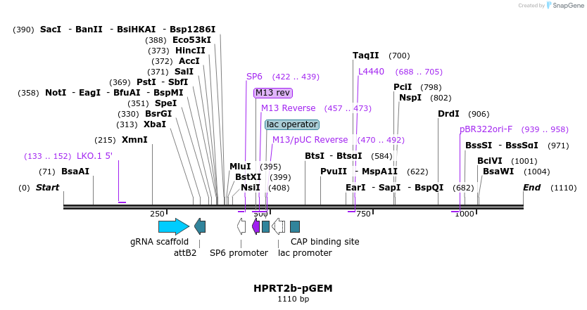 125086_map