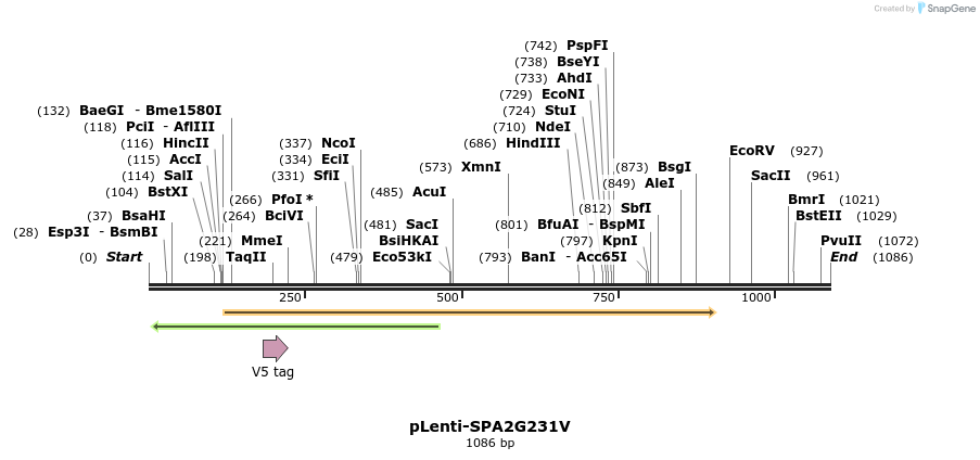 125087_map