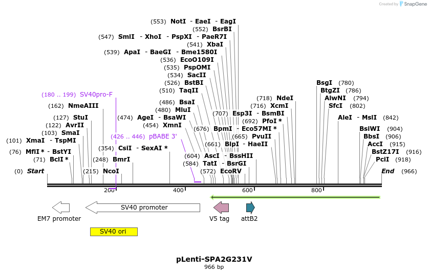 125088_map
