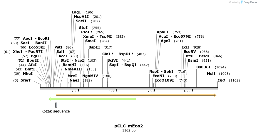 125092_map