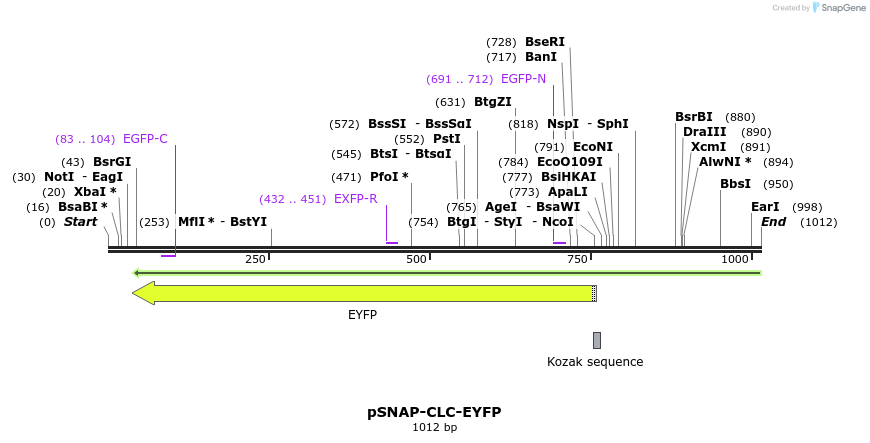 125094_map