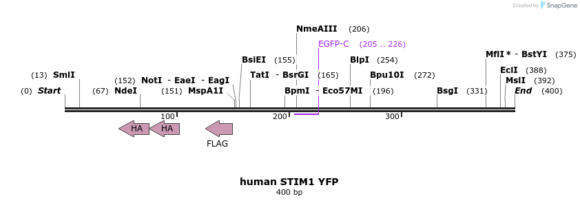 125098_map