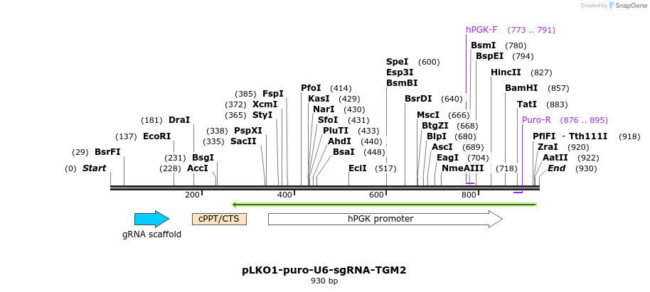 125099_map