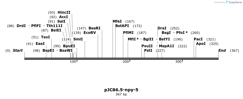 12510_map