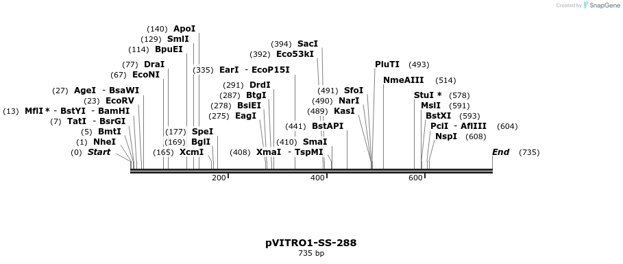 125104_map
