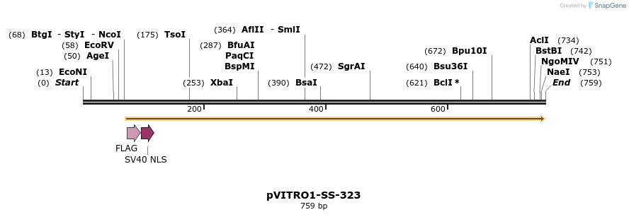 125106_map