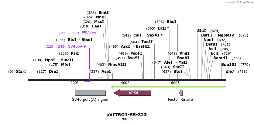 125107_map