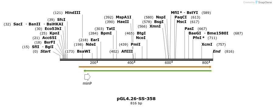 125108_map