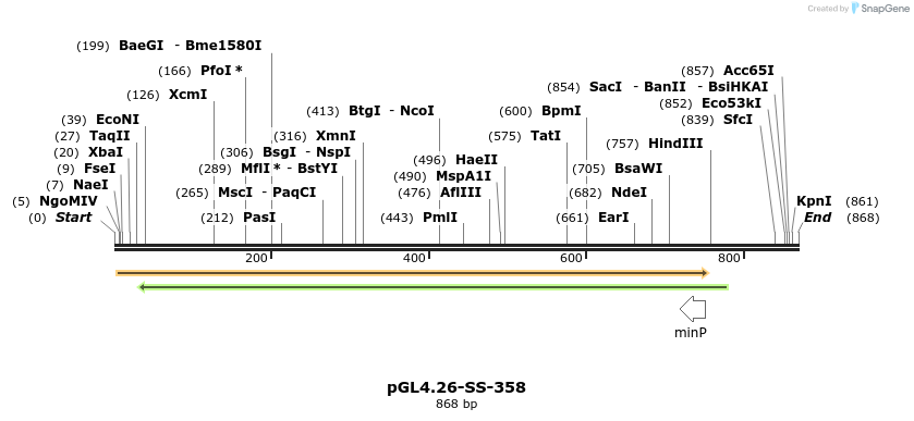 125109_map