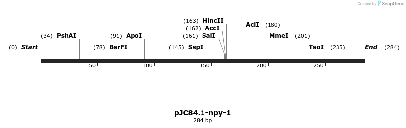 12511_map