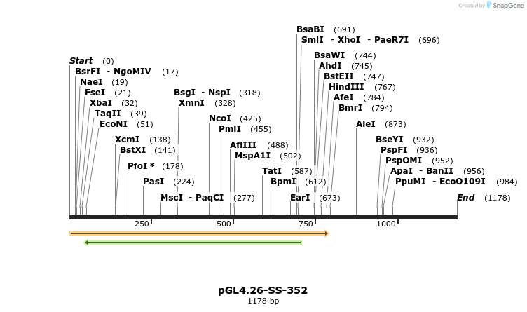 125111_map