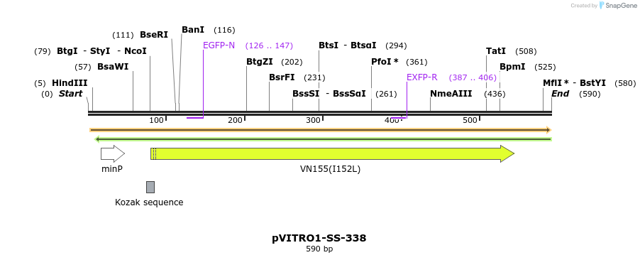 125113_map
