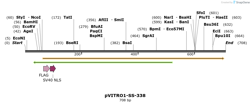 125114_map