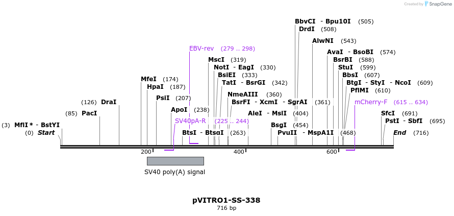 125115_map