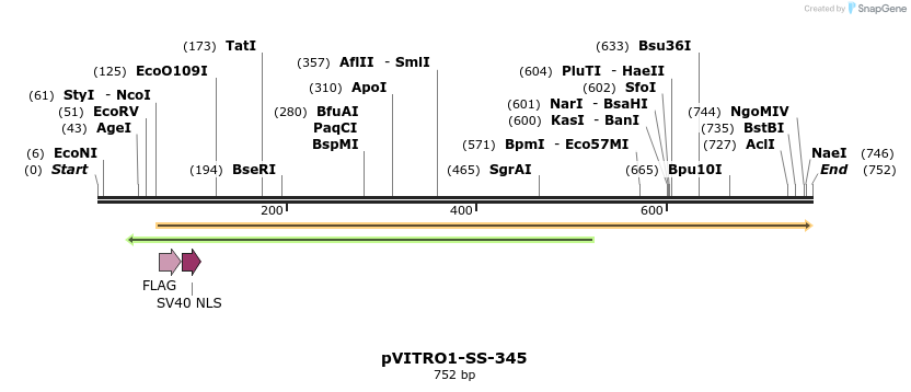 125117_map