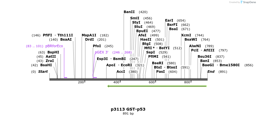 125119_map