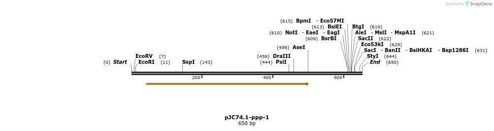 12512_map