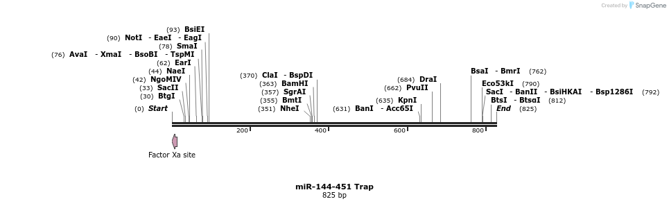 125121_map