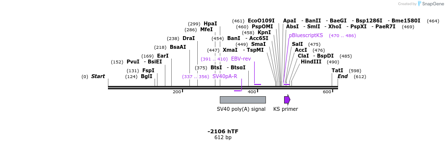 125123_map