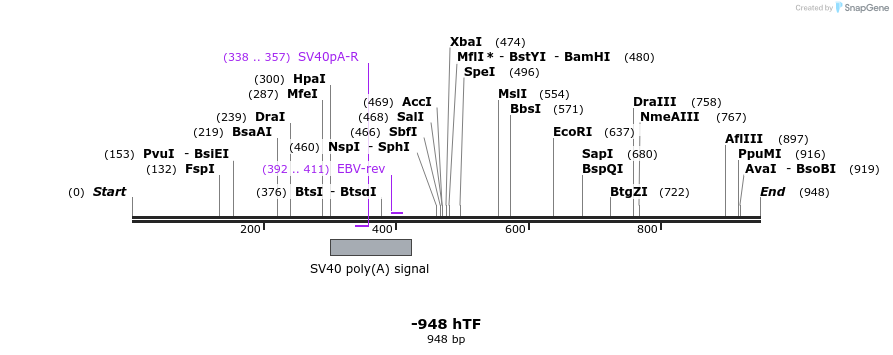 125124_map