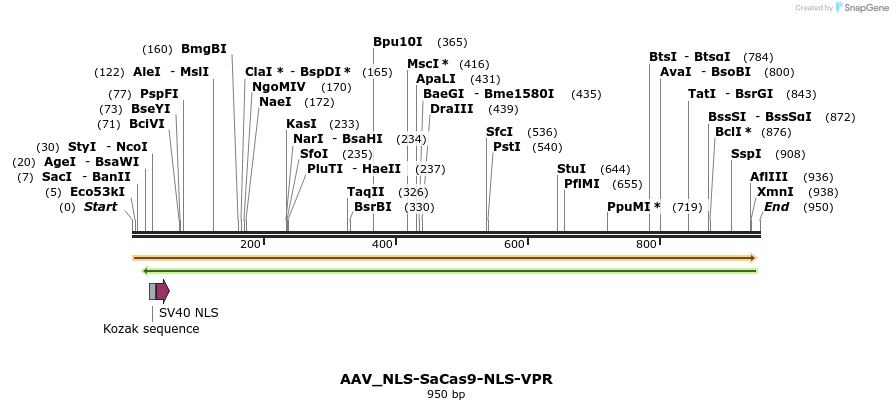 125125_map