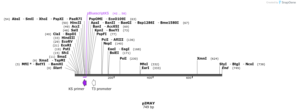 125129_map