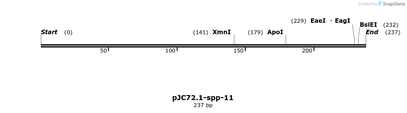 12513_map