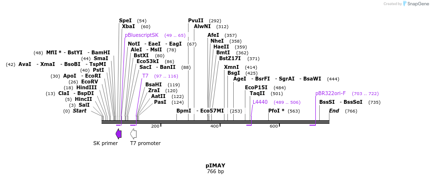 125130_map