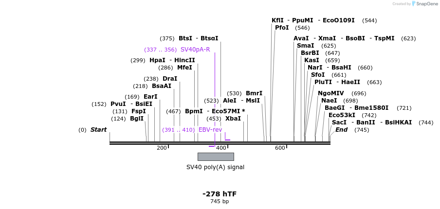 125134_map