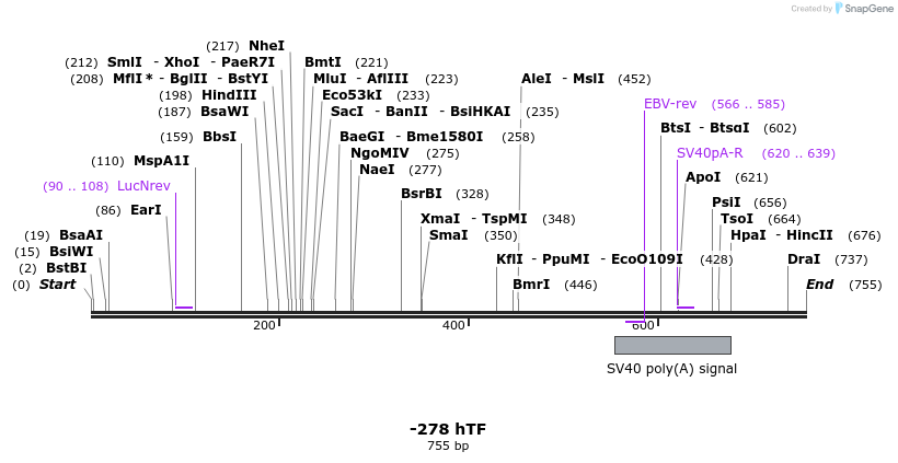 125135_map