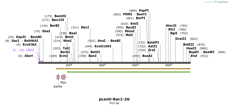 125137_map