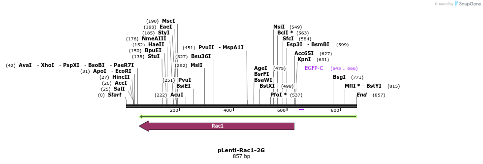 125138_map