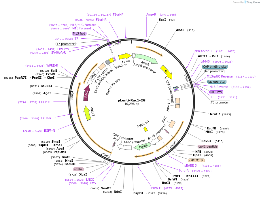 125139_map