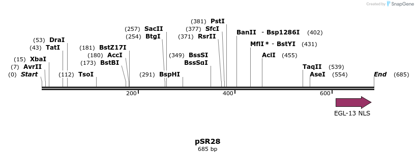 125140_map