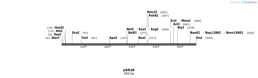 125141_map
