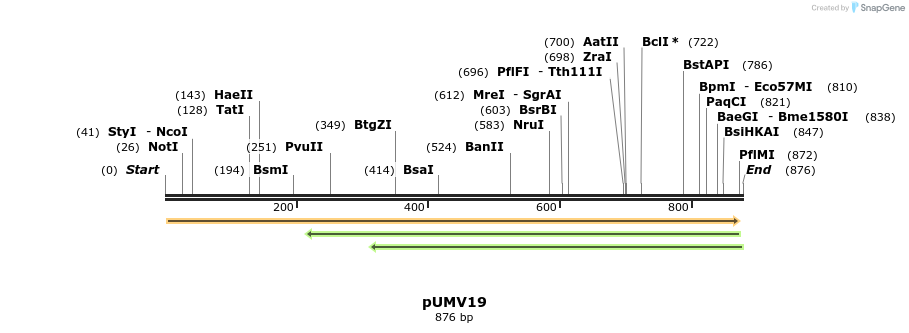 125144_map